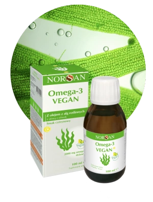 Omega 3 Vegan